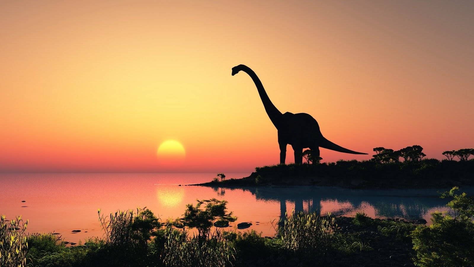 Brontosauro brontosauro coda lunga long tail keywords e lead generation