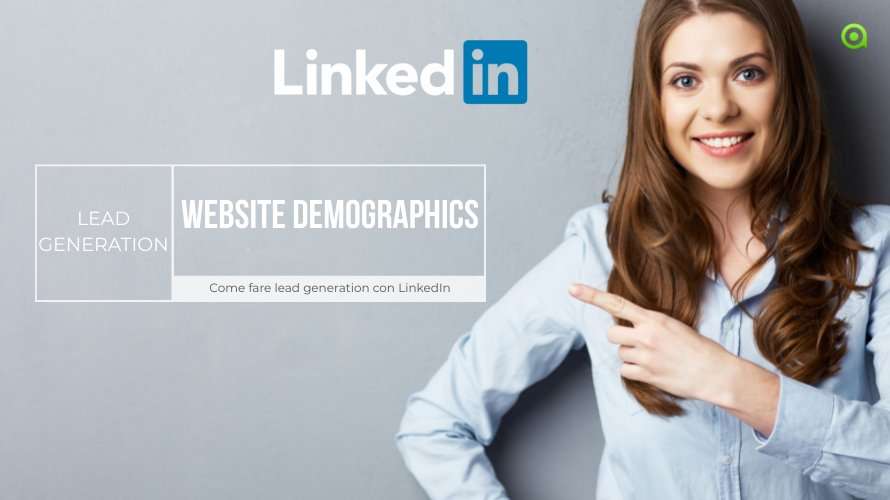 LinkedIn Website Demographics